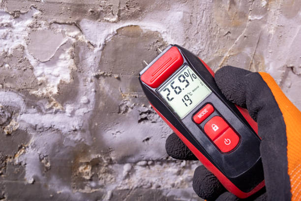 Best Post-Remediation Services in Sunnyside, CA